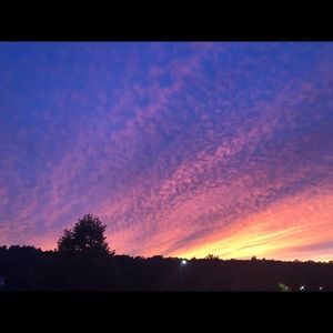 Meet your Posher, Haylie